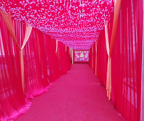 粉色纱曼